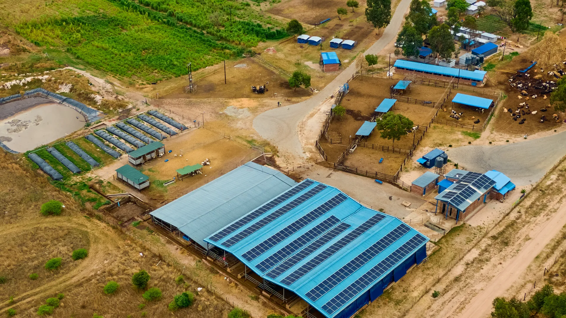 Aerial view of the Silver Blue Dairy site and its Powermec solar installation